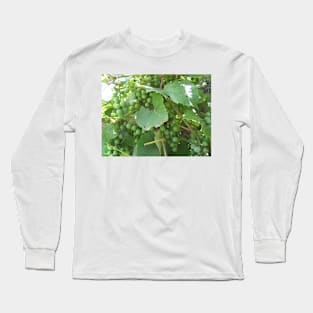 Green Grapes Long Sleeve T-Shirt